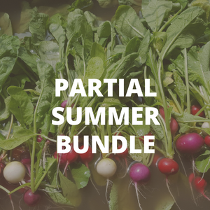 Partial Summer 2023 Meal Bundle (August & September)